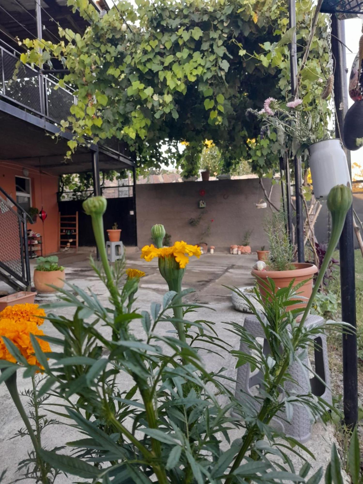 Akhaltsikhe Hotel “Sunny House” Dış mekan fotoğraf